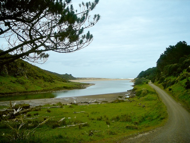NZ Heading to the sand